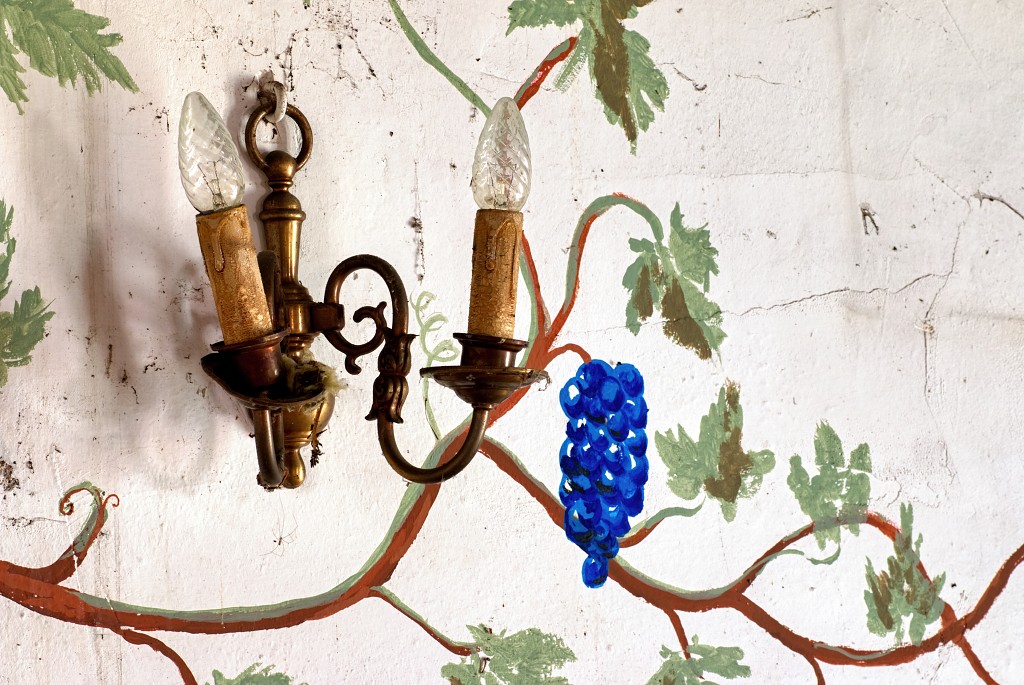 HDR green world greenworld belgie belgique belgium urbex decay verlaten boerderij lost place places kasteeldomein abandoned explorer